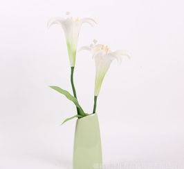 陶瓷簡(jiǎn)約花瓶 現(xiàn)代裝飾與花卉種植的完美結(jié)合